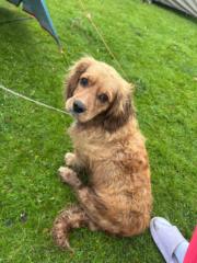 Ариунаа Ариука