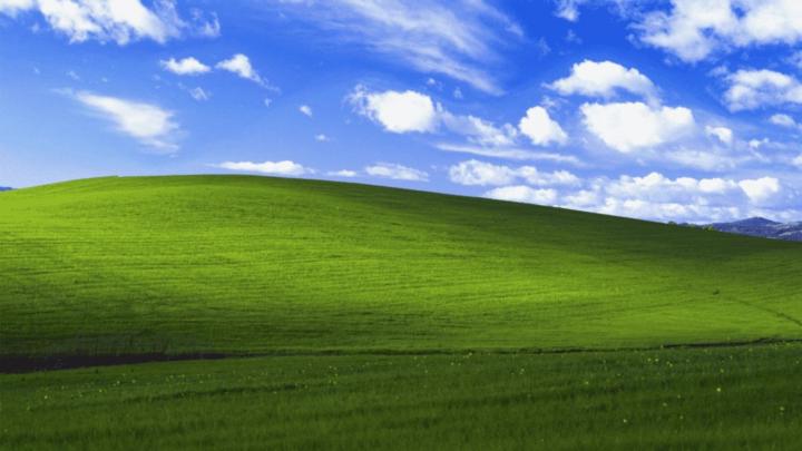 Polo le Bleu