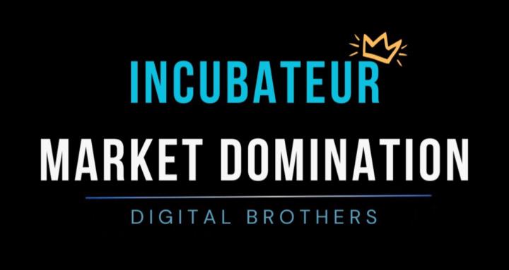 Incubateur Market Domination