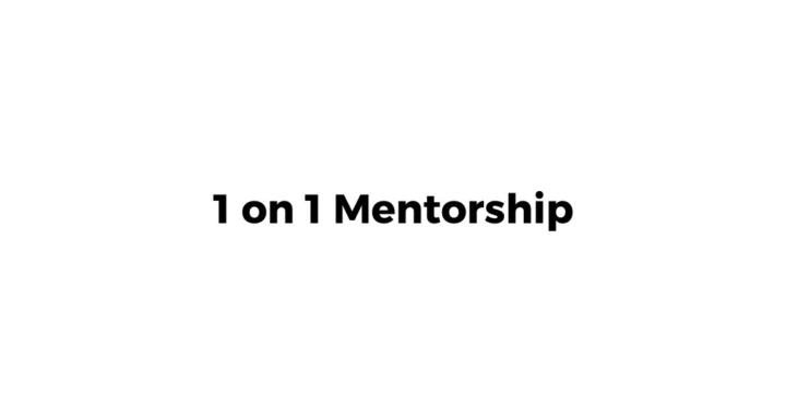 1 on 1 Mentorship
