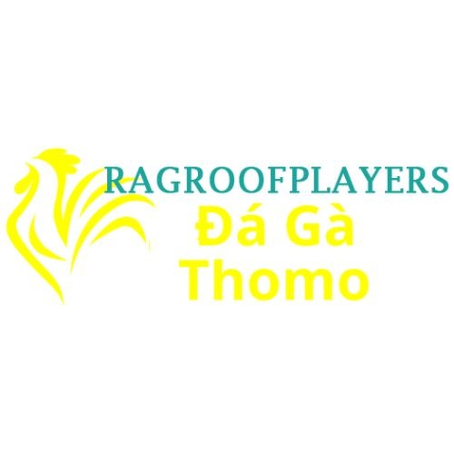 Đá Gà Trực Tiếp Thomo