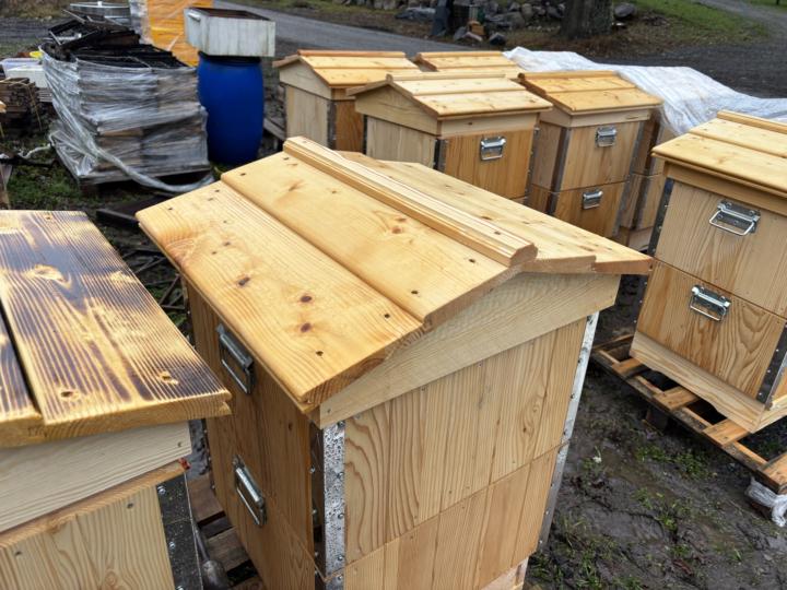 My first post on Skool