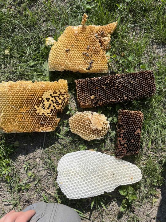 Why I replace my wax every year