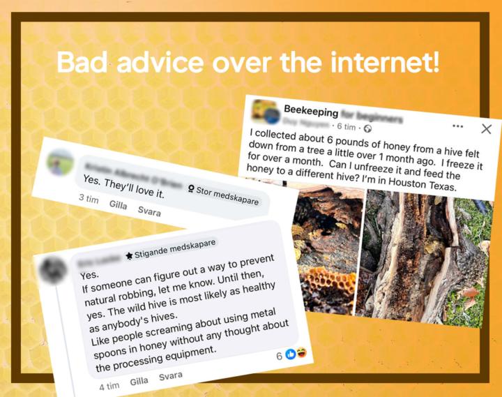 Bad advice over the internet could kill of your bees!