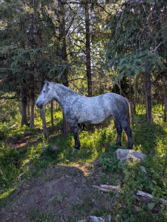 Join in the conversation!