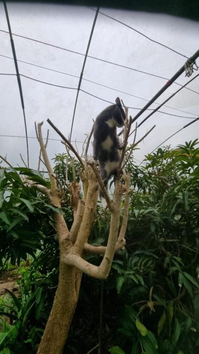 Sofia benjy Awakening Eden