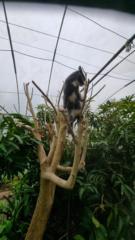 Sofia benjy Awakening Eden