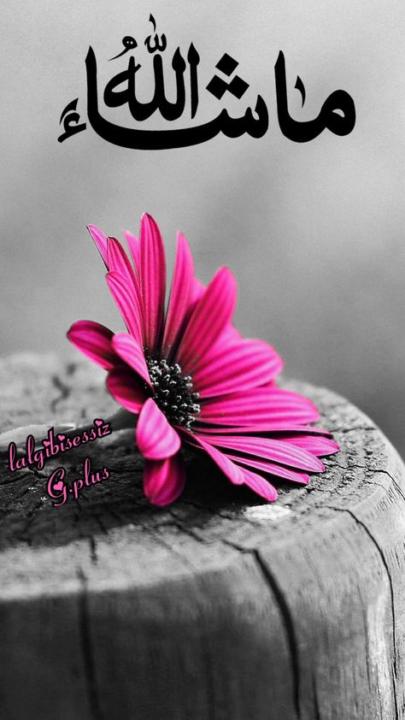 Razan Zaitoun