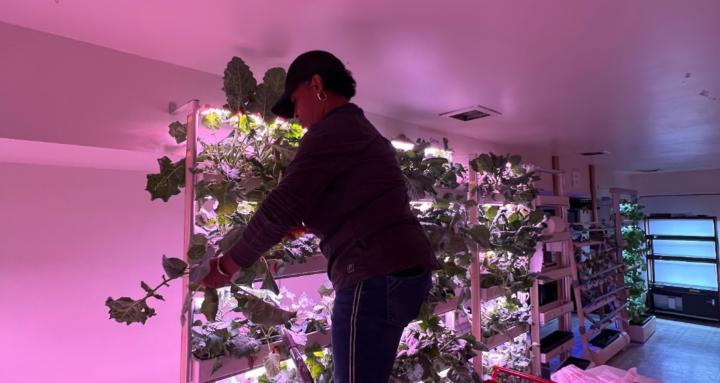 Hydroponics for Life Resources