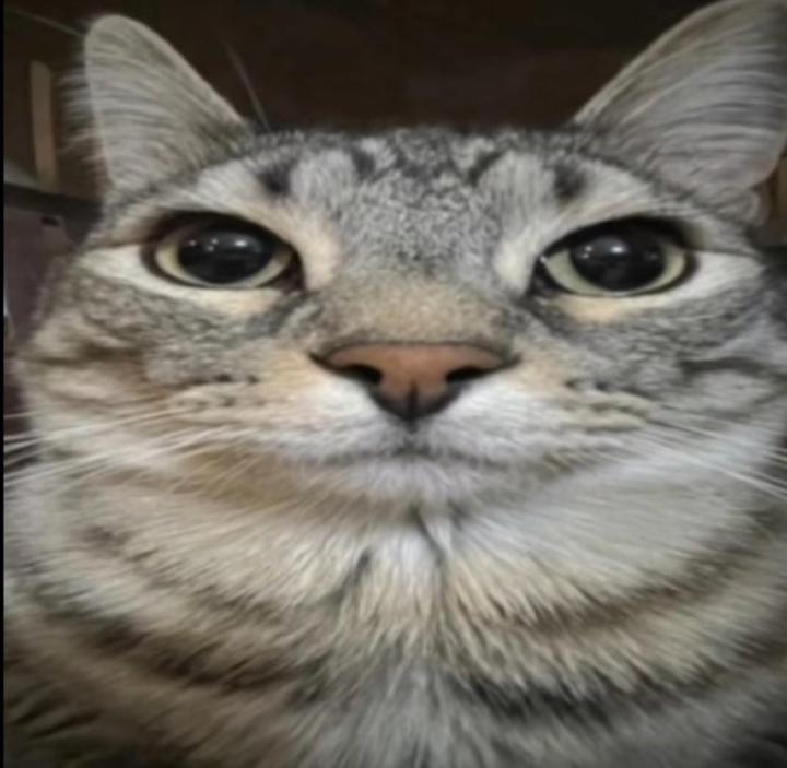 Jose Miguel Hernandez Vargas