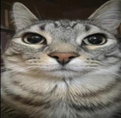 Jose Miguel Hernandez Vargas