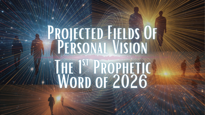 PERSONALLY PROJECTED FIELD OF VISION