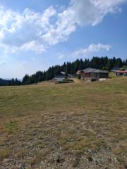 Здравко Иванов