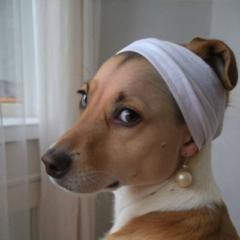 Dulins Mary
