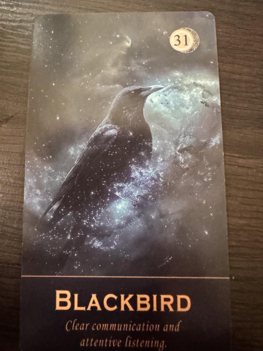 Weekly Energy for the Community 🕊️