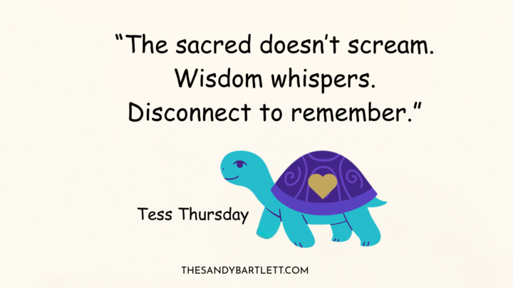 Turtle Wisdom