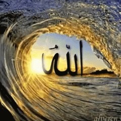 Majd Abu Tahoun