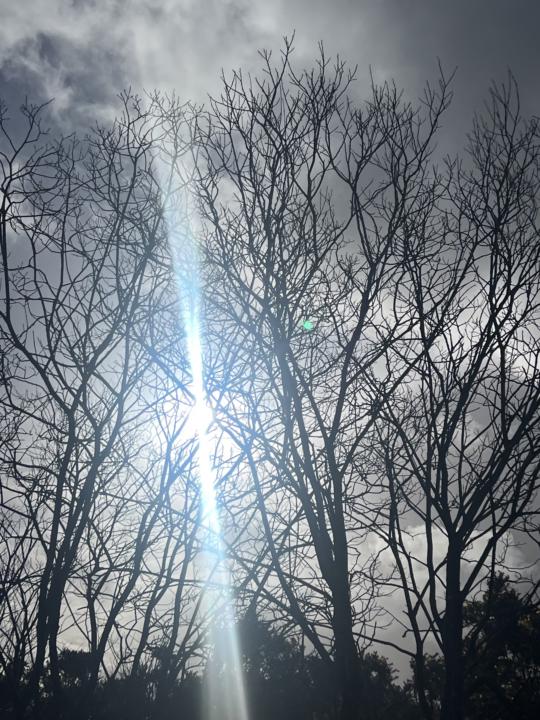 Share your Snaps Sunday 