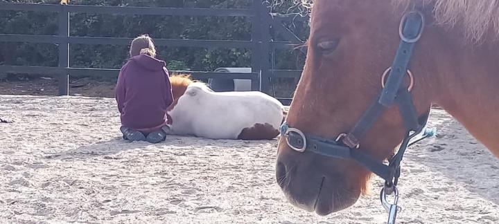 A QUICK GUIDE TO EMPOWERMENT vs EXPOSURE IN EA 