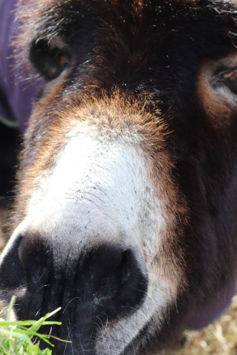 QUICK QUESTION OF THE DAY