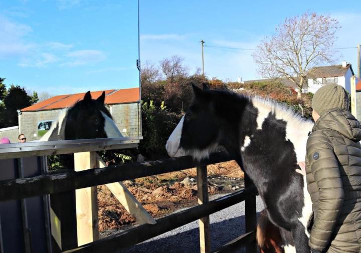 MEETING 2026 IN THE SKY!