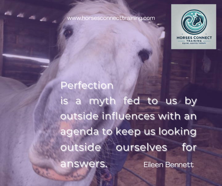 What is 'Perfect'?