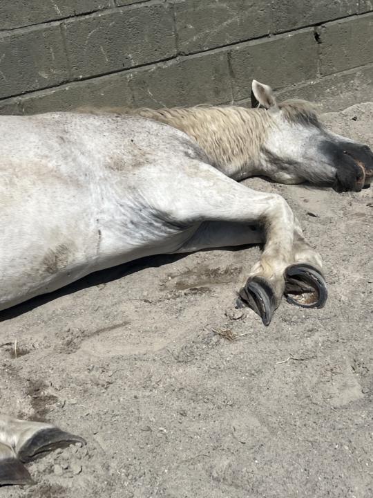 EMPATHS, PROTECT YOUR ENERGY!