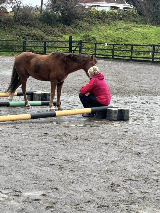 The Science of Calm Connection: HeartMath® Principles in the Horses Connect Model