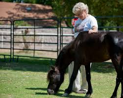 Conversations Without Words