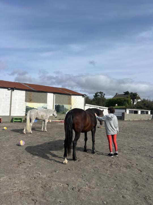 Test your observation skills 😊