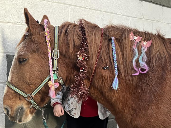 ‘Tis the Season…