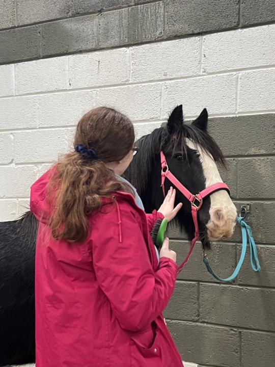 WORTHLESS OR PRICELESS?