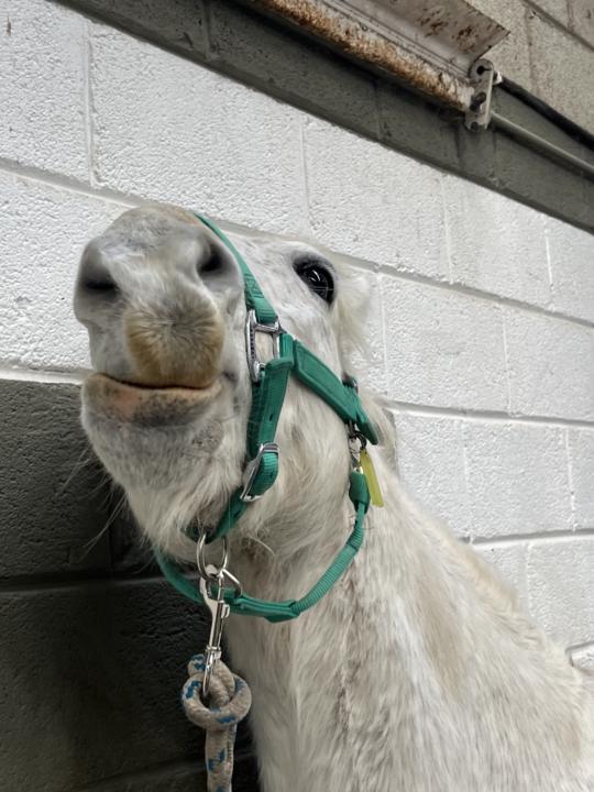 WHO ARE YOU KIDDING?