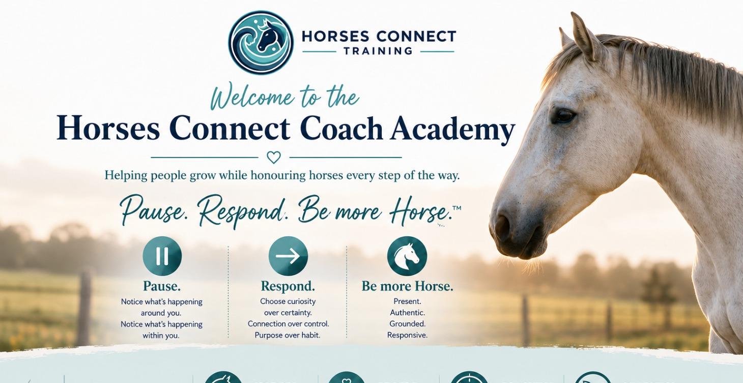 THE HORSES CONNECT COACH ACADEMY
