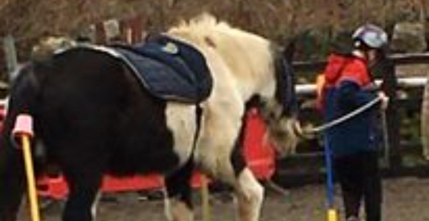 DISABILTY AWARENESS FOR EAS PROVIDERS (IRELAND)