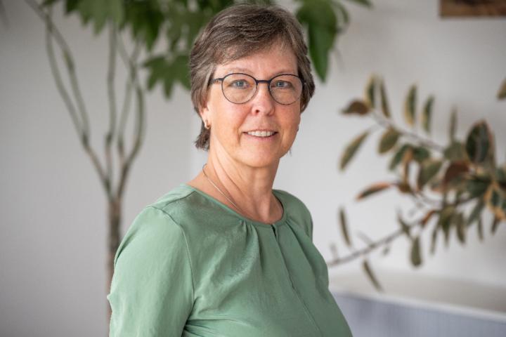 Henrike Krabbenhöft