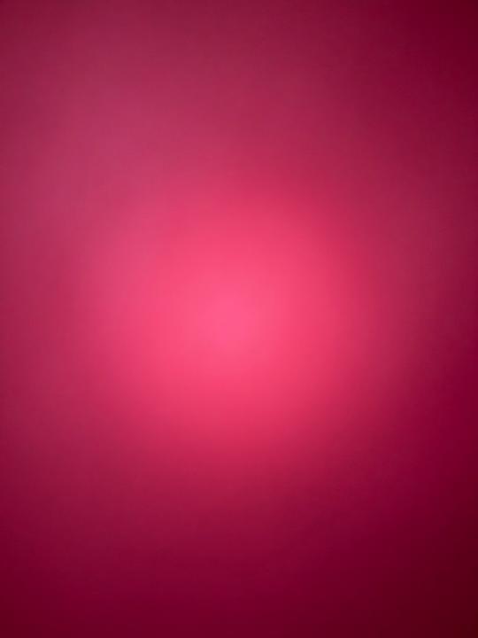 Elzbieta Goliaszewski