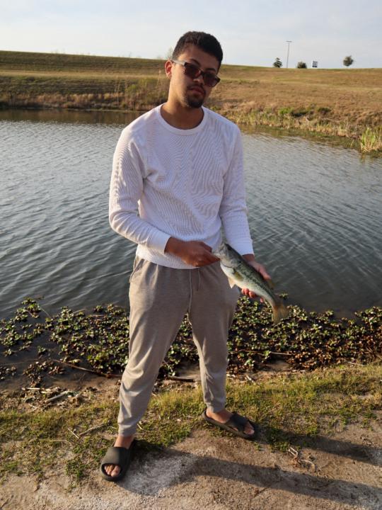 Alex Kordahi