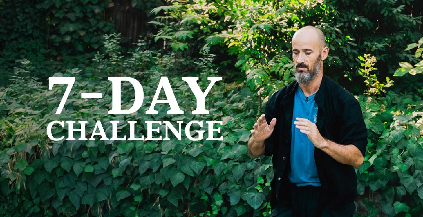 [BONUS] 7-Day Challenge