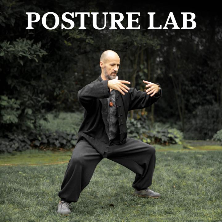 Introducing: Posture Lab