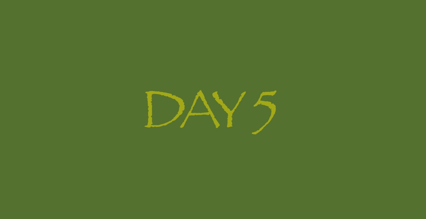 Day 5 (7-Day Challenge)