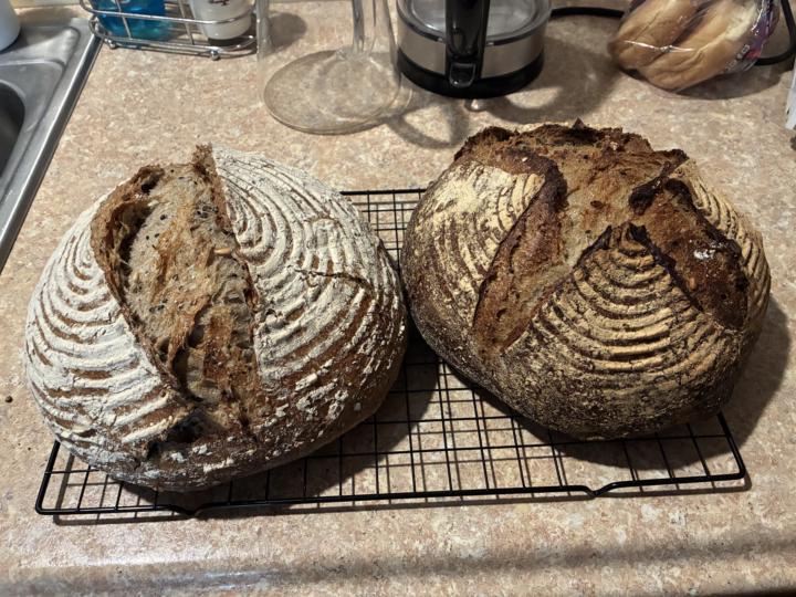 Qi Gong and Bread