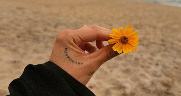 Academia del Ser 🌸