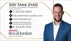 Sidi Taha Zyad