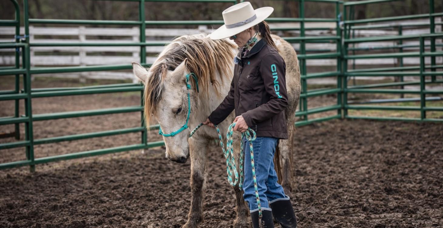 Mustang Training series