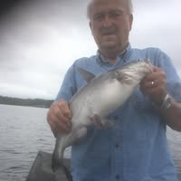 Gene Tackett