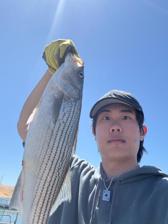Edwin Li