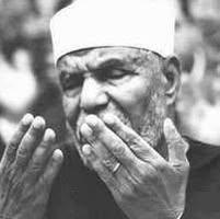 Amr Kamal