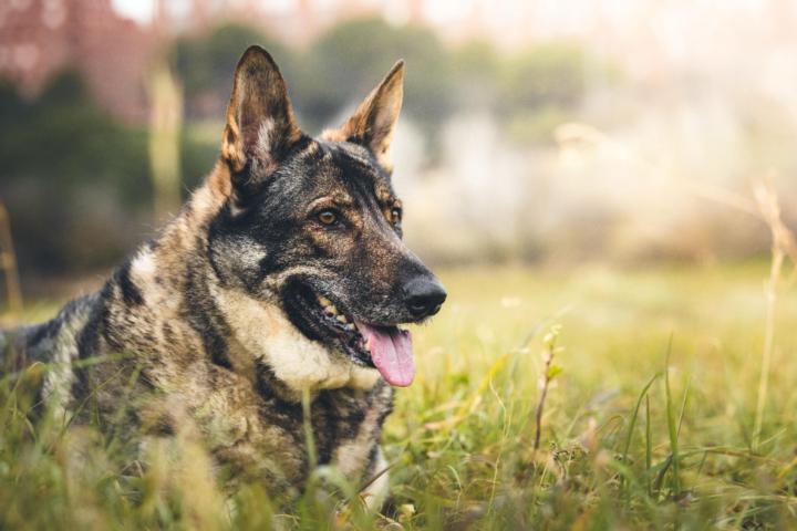 Inma y Fernando Loberos