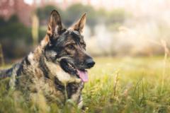 Inma y Fernando Loberos